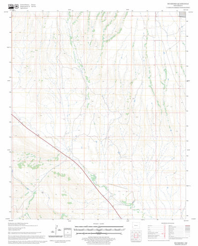 US Forest Service - Topo Buckhorn, NM FSTopo Legacy digital map