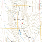 US Forest Service - Topo Buckhorn Ridge, NV FSTopo Legacy digital map