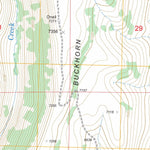 US Forest Service - Topo Buckhorn Ridge, NV FSTopo Legacy digital map