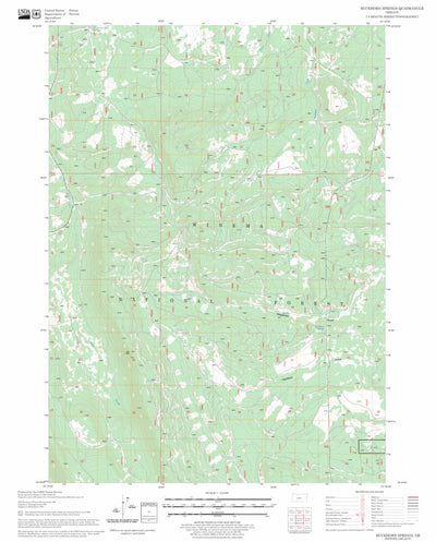 US Forest Service - Topo Buckhorn Springs, OR FSTopo Legacy digital map