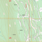 US Forest Service - Topo Buckhorn Springs, OR FSTopo Legacy digital map