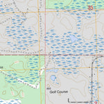 US Forest Service - Topo Bucks Pond, MI FSTopo Legacy digital map