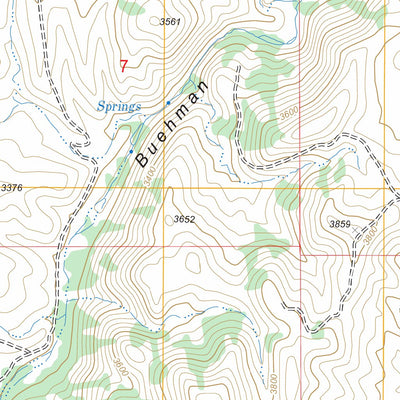 US Forest Service - Topo Buehman Canyon, AZ FSTopo Legacy digital map
