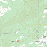 US Forest Service - Topo Buena Vista East, CO FSTopo Legacy digital map