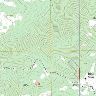 US Forest Service - Topo Buena Vista East, CO FSTopo Legacy digital map