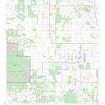 US Forest Service - Topo Buena Vista, MS FSTopo Legacy digital map