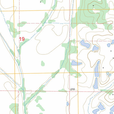 US Forest Service - Topo Buena Vista, MS FSTopo Legacy digital map