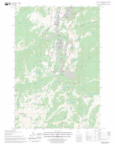 US Forest Service - Topo Buffalo Hump, ID FSTopo Legacy digital map