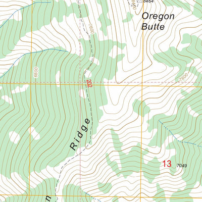 US Forest Service - Topo Buffalo Hump, ID FSTopo Legacy digital map