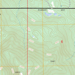 US Forest Service - Topo Buffalo Peak, CO FSTopo Legacy digital map