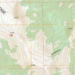 US Forest Service - Topo Buffalo Peak, CO FSTopo Legacy digital map
