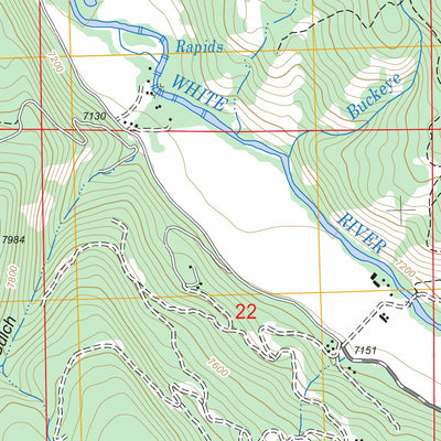 US Forest Service - Topo Buford, CO FSTopo Legacy digital map