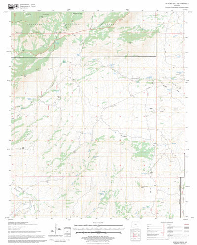 US Forest Service - Topo Buford Hill, AZ FSTopo Legacy digital map