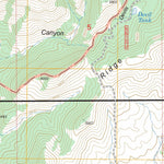 US Forest Service - Topo Buford Hill, AZ FSTopo Legacy digital map