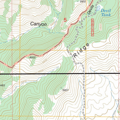 US Forest Service - Topo Buford Hill, AZ FSTopo Legacy digital map