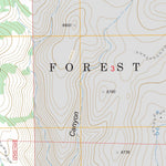 US Forest Service - Topo Bug Scuffle Canyon, NM FSTopo Legacy digital map