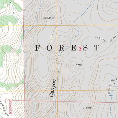 US Forest Service - Topo Bug Scuffle Canyon, NM FSTopo Legacy digital map