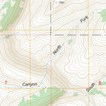 US Forest Service - Topo Bug Scuffle Canyon, NM FSTopo Legacy digital map