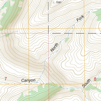 US Forest Service - Topo Bug Scuffle Canyon, NM FSTopo Legacy digital map