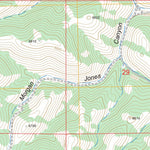 US Forest Service - Topo Buist, ID FSTopo Legacy digital map