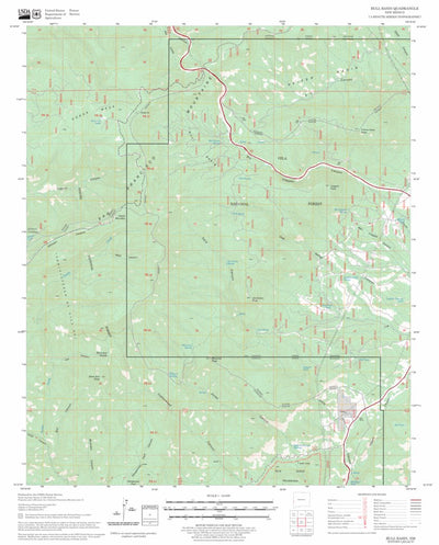 US Forest Service - Topo Bull Basin, NM FSTopo Legacy digital map