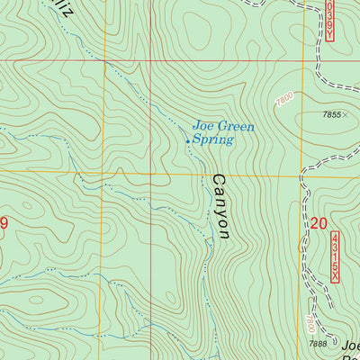 US Forest Service - Topo Bull Basin, NM FSTopo Legacy digital map