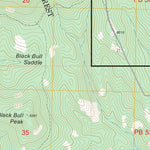 US Forest Service - Topo Bull Basin, NM FSTopo Legacy digital map