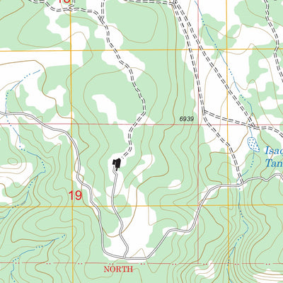 US Forest Service - Topo Bull Canyon, NM FSTopo Legacy digital map