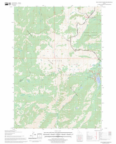 US Forest Service - Topo Bull Trout Point, ID FSTopo Legacy digital map
