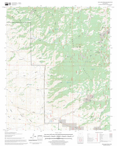 US Forest Service - Topo Bullard Peak, NM FSTopo Legacy digital map