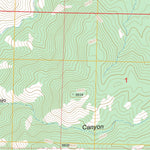 US Forest Service - Topo Bullard Peak, NM FSTopo Legacy digital map