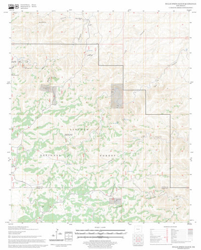 US Forest Service - Topo Bullis Spring Ranch, NM FSTopo Legacy digital map