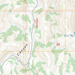US Forest Service - Topo Bullis Spring Ranch, NM FSTopo Legacy digital map