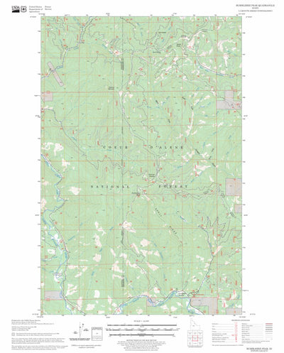 US Forest Service - Topo Bumblebee Peak, ID FSTopo Legacy digital map