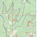 US Forest Service - Topo Bumblebee Peak, ID FSTopo Legacy digital map