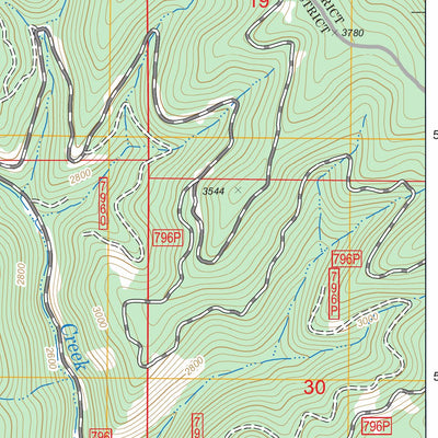 US Forest Service - Topo Bumblebee Peak, ID FSTopo Legacy digital map
