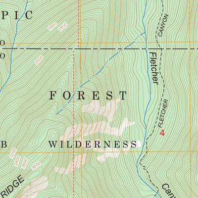US Forest Service - Topo Bunch Lake, WA FSTopo Legacy digital map