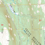 US Forest Service - Topo Burdett, NY FSTopo Legacy digital map