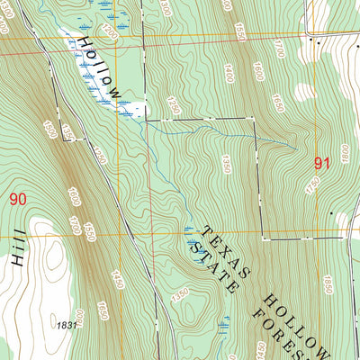 US Forest Service - Topo Burdett, NY FSTopo Legacy digital map
