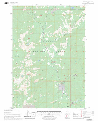 US Forest Service - Topo Burgdorf, ID FSTopo Legacy digital map