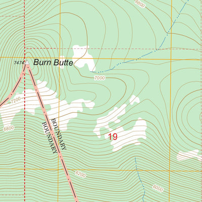 US Forest Service - Topo Burn Butte, OR FSTopo Legacy digital map