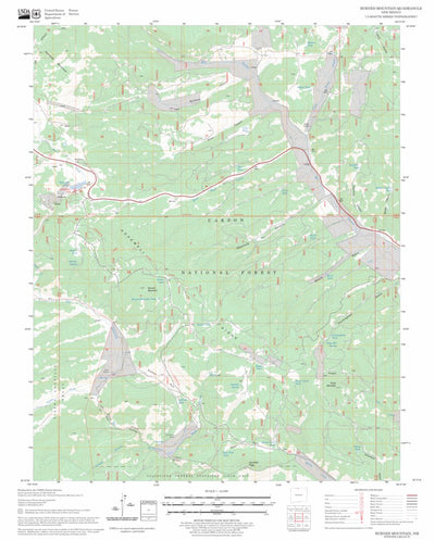 US Forest Service - Topo Burned Mountain, NM FSTopo Legacy digital map