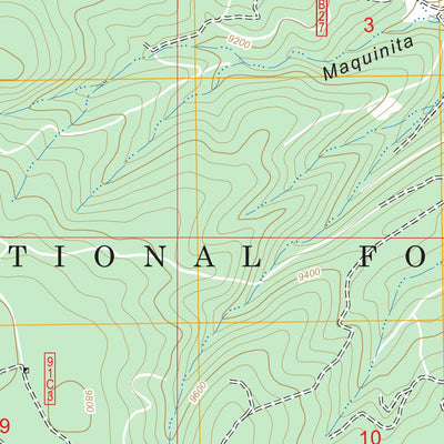 US Forest Service - Topo Burned Mountain, NM FSTopo Legacy digital map