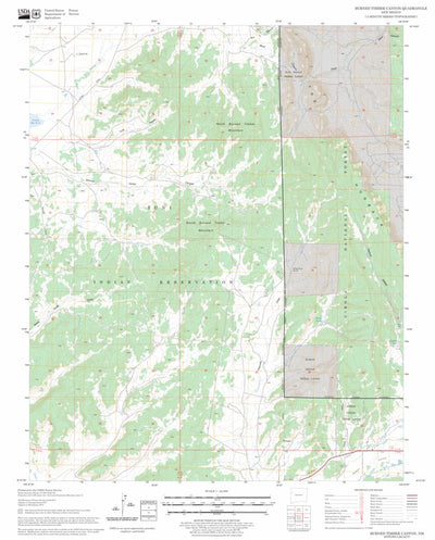 US Forest Service - Topo Burned Timber Canyon, NM FSTopo Legacy digital map