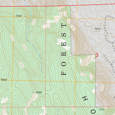 US Forest Service - Topo Burned Timber Canyon, NM FSTopo Legacy digital map