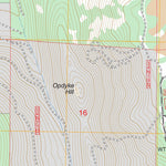 US Forest Service - Topo Burney Mountain East, CA FSTopo Legacy digital map