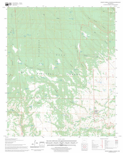 US Forest Service - Topo Burnt Corral Canyon, NM FSTopo Legacy digital map