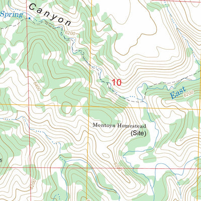 US Forest Service - Topo Burnt Corral Canyon, NM FSTopo Legacy digital map