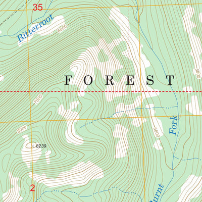 US Forest Service - Topo Burnt Fork Lake, MT FSTopo Legacy digital map