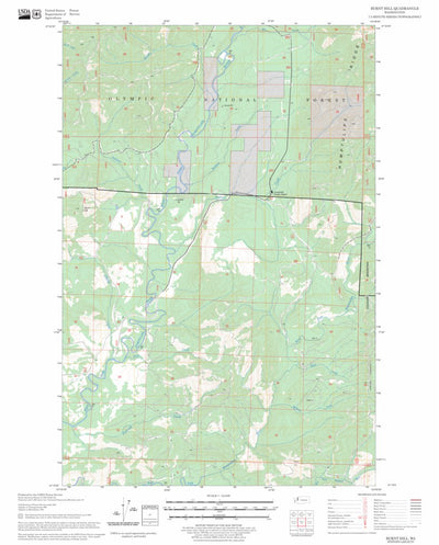 US Forest Service - Topo Burnt Hill, WA FSTopo Legacy digital map